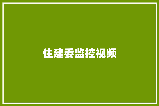 住建委监控视频