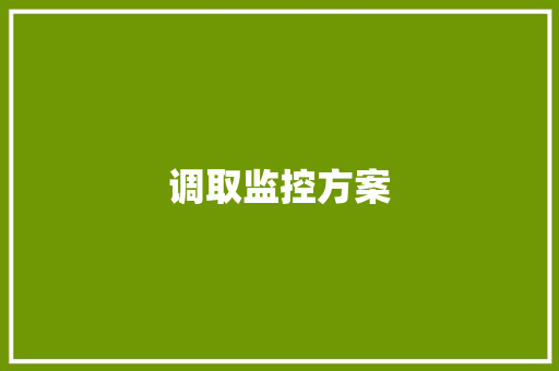 调取监控方案