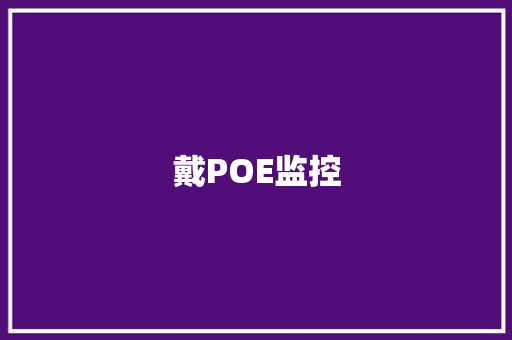 戴POE监控