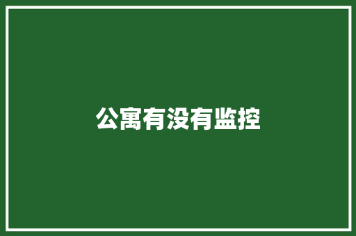 公寓有没有监控,监控安装公司。