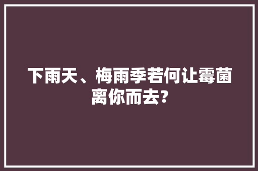 下雨天、梅雨季若何让霉菌离你而去？