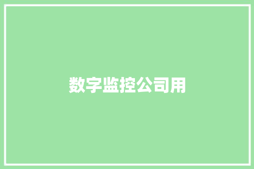 数字监控公司用