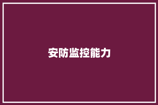 安防监控能力