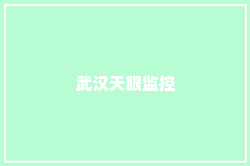 武汉天眼监控,武汉天气。