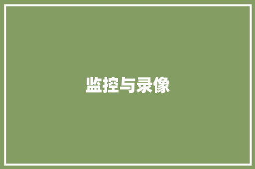 监控与录像,录像的英文。