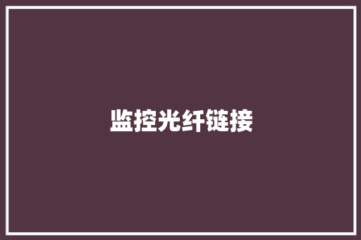 监控光纤链接