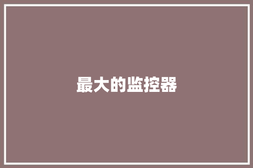 最大的监控器