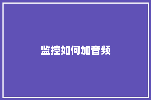 监控如何加音频