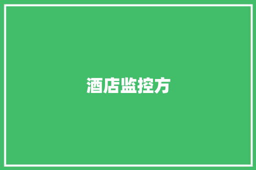 酒店监控方,监控安装公司。