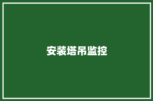 安装塔吊监控,安装师傅接单平台app。