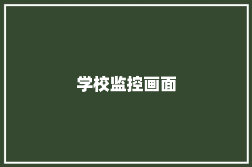 学校监控画面