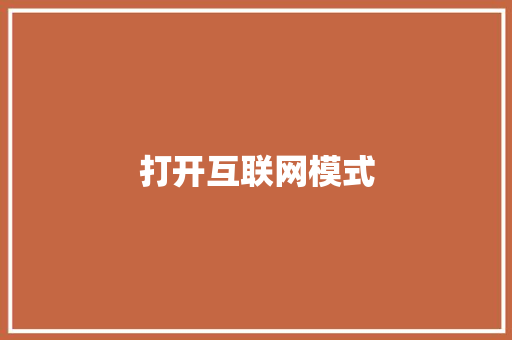 打开互联网模式