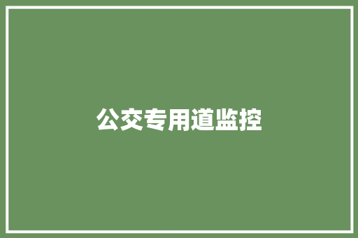 公交专用道监控,公交专用道。