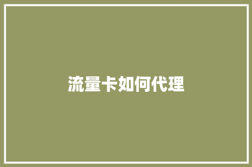 流量卡如何代理