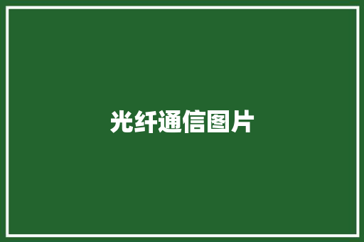 光纤通信图片