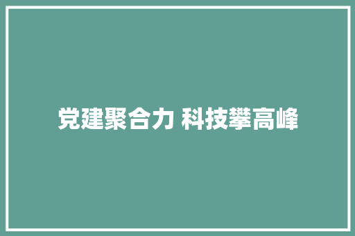 党建聚合力 科技攀高峰