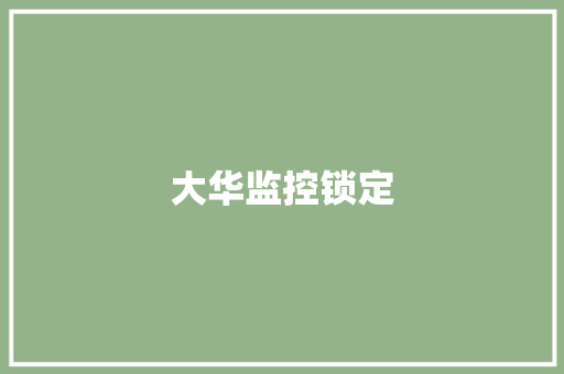 大华监控锁定,大华股份。