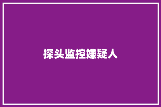 探头监控嫌疑人