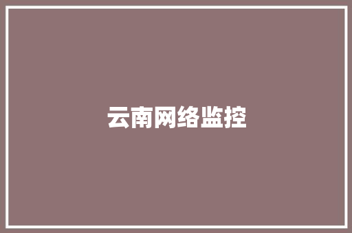 云南网络监控