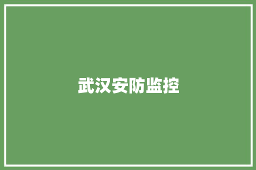 武汉安防监控