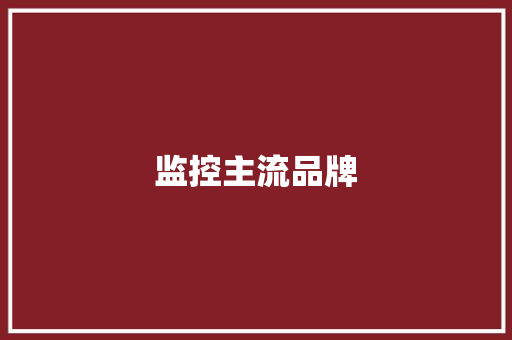监控主流品牌