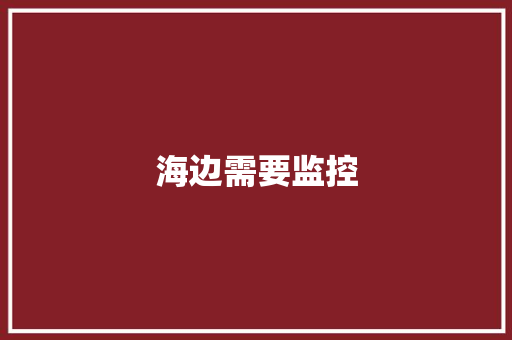 海边需要监控,导弹之父是谁。