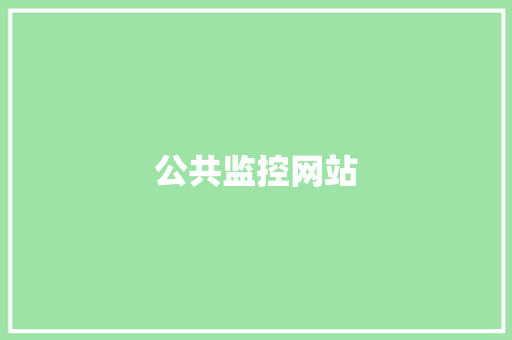 公共监控网站