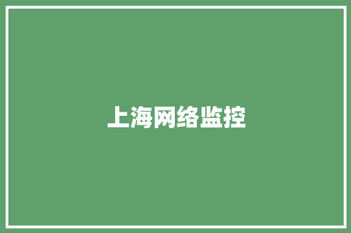 上海网络监控