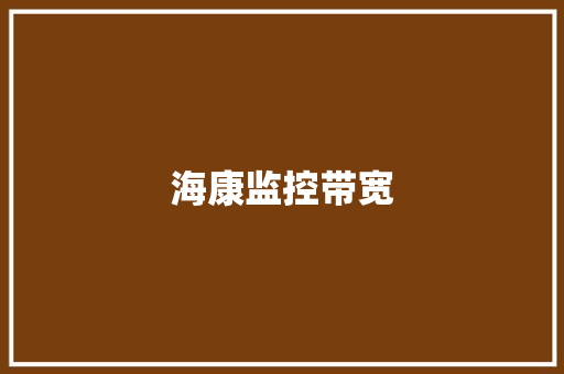 海康监控带宽