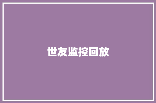 世友监控回放,海康威视。