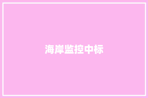 海岸监控中标