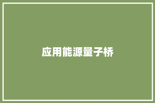 应用能源量子桥