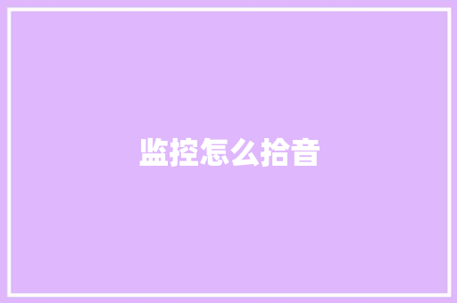 监控怎么拾音,摄像头监控哪个品牌好。
