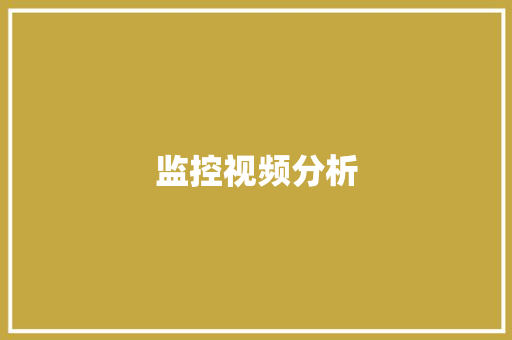 监控视频分析,解析vip。