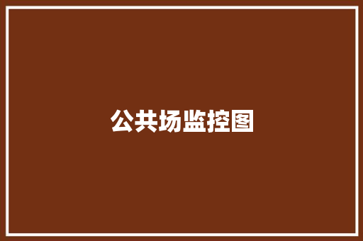 公共场监控图