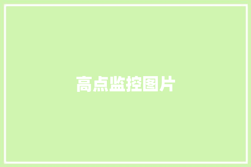高点监控图片