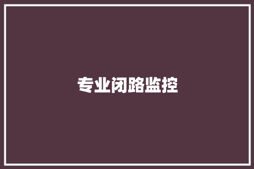 专业闭路监控