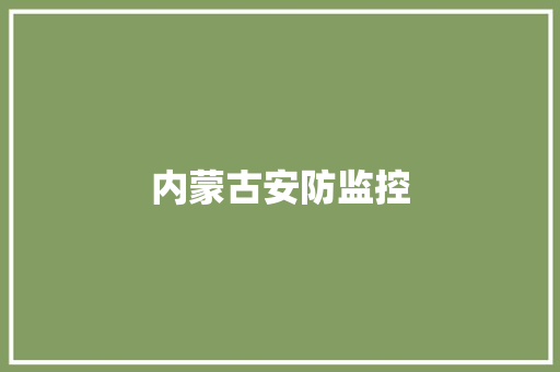 内蒙古安防监控