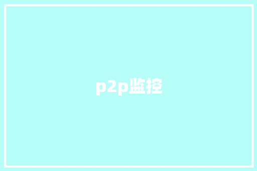 p2p监控