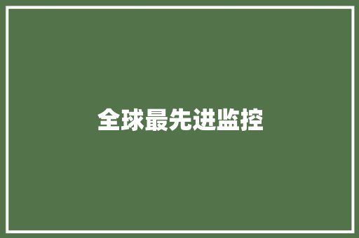 全球最先进监控