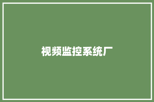视频监控系统厂