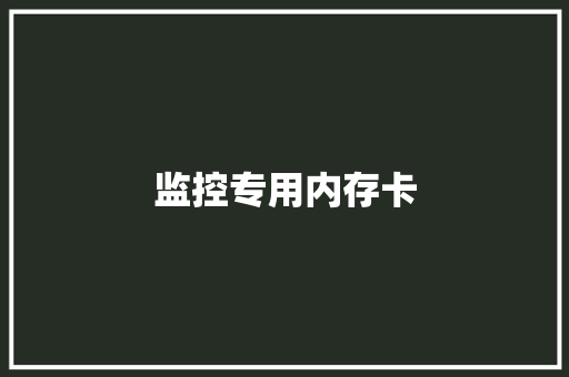 监控专用内存卡