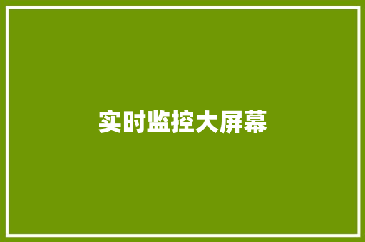 实时监控大屏幕,录像的英文。