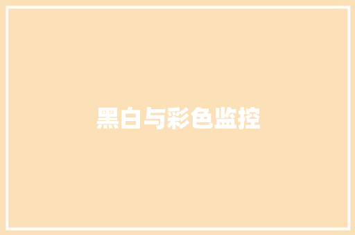 黑白与彩色监控