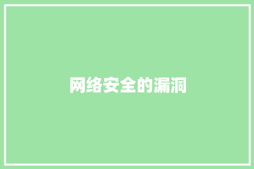 网络安全的漏洞