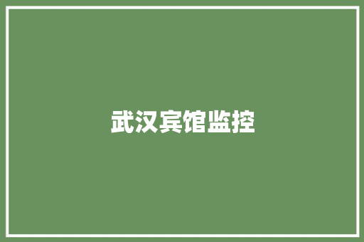 武汉宾馆监控