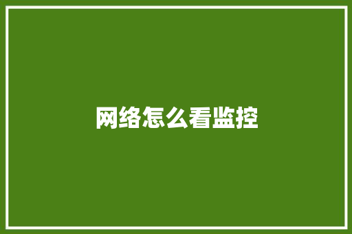 网络怎么看监控