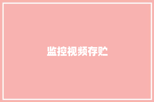 监控视频存贮