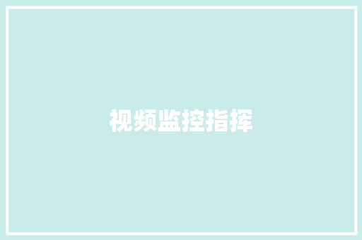 视频监控指挥,黑匣子电影在线观看。