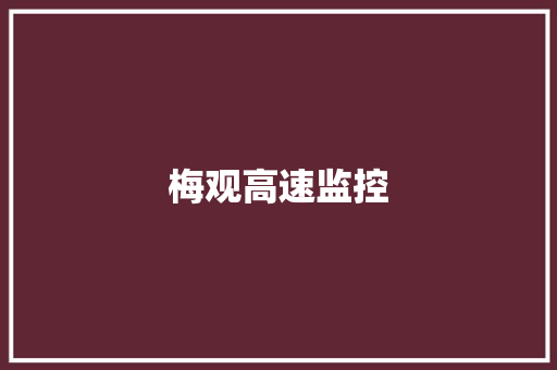 梅观高速监控